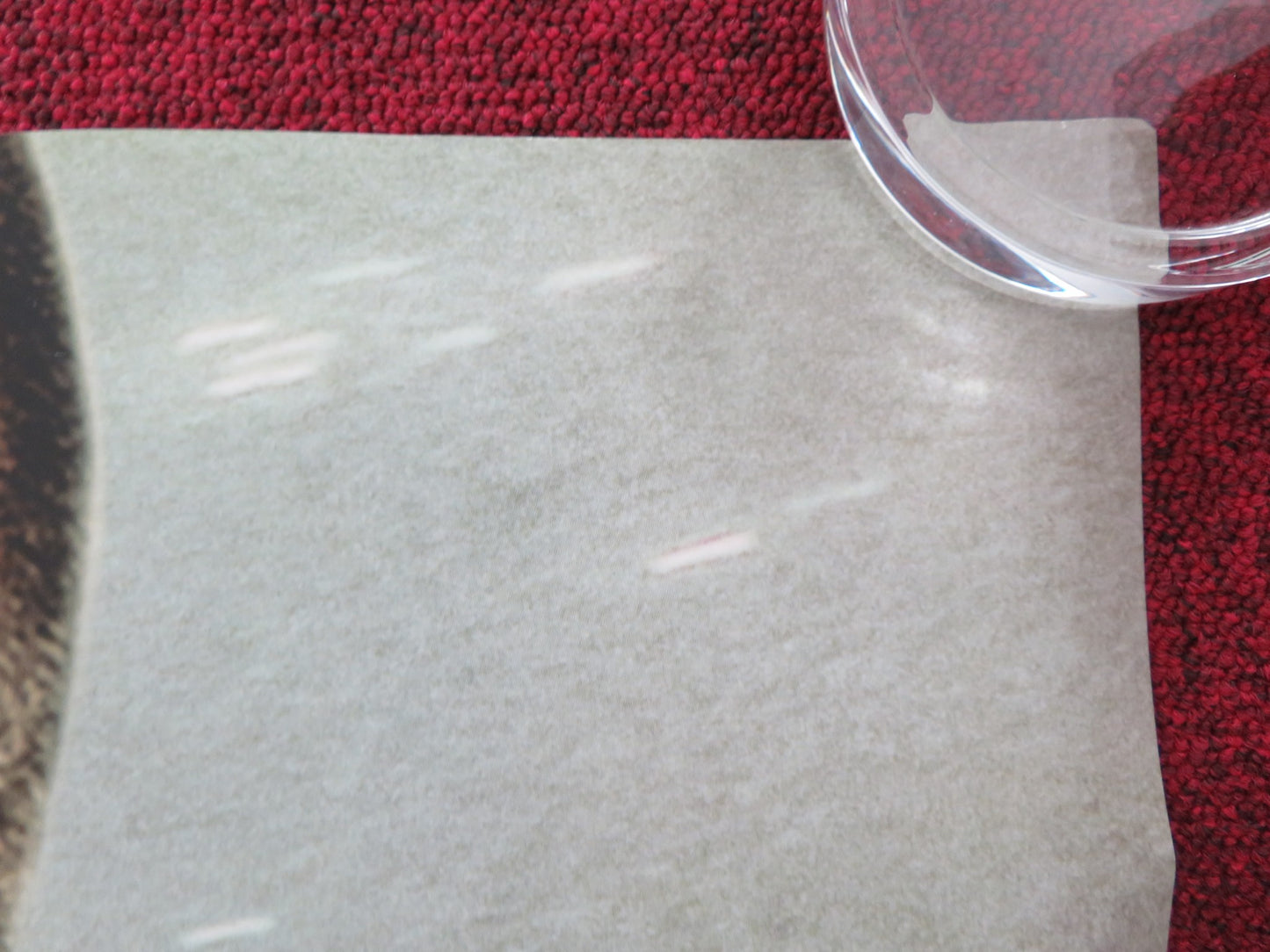 DIE HARD 4.0 UK QUAD ROLLED POSTER BRUCE WILLIS TIMOTHY OLYPHANT 2007 - Rendezvous Cinema