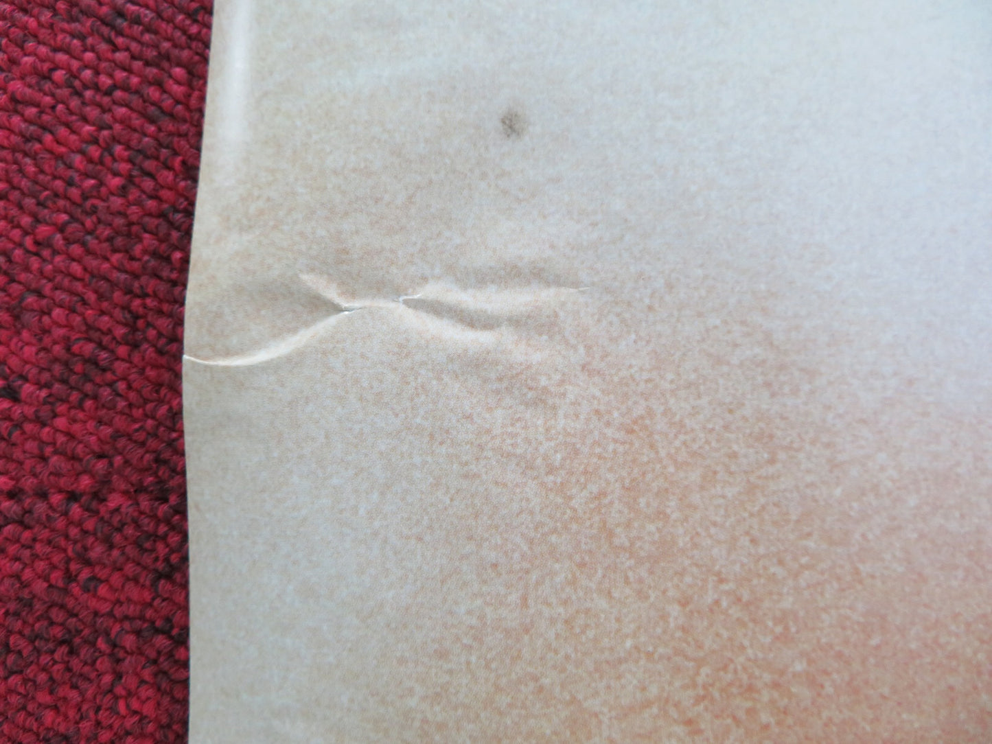 DIE HARD 4.0 UK QUAD ROLLED POSTER BRUCE WILLIS TIMOTHY OLYPHANT 2007 - Rendezvous Cinema