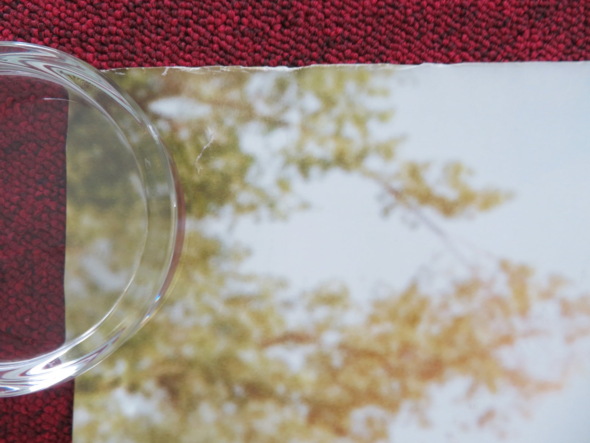 WE BOUGHT A ZOO UK QUAD ROLLED POSTER MATT DAMON SCARLETT JOHANSSON 2011 - Rendezvous Cinema