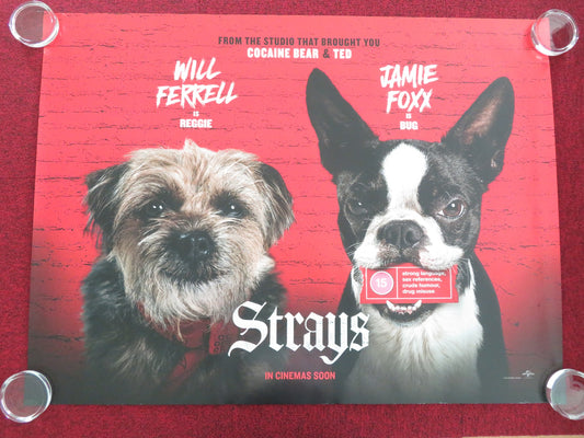 STRAYS UK QUAD ROLLED POSTER WILL FERRELL JAMIE FOXX 2023 - Rendezvous Cinema