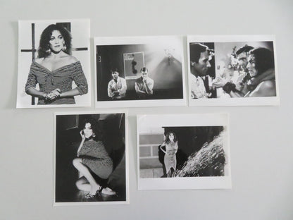 LAW OF DESIRE MOVIE STILL PHOTO LOT OF 5 CARMEN MAURA ANTONIO BANDERAS 1987 - Rendezvous Cinema