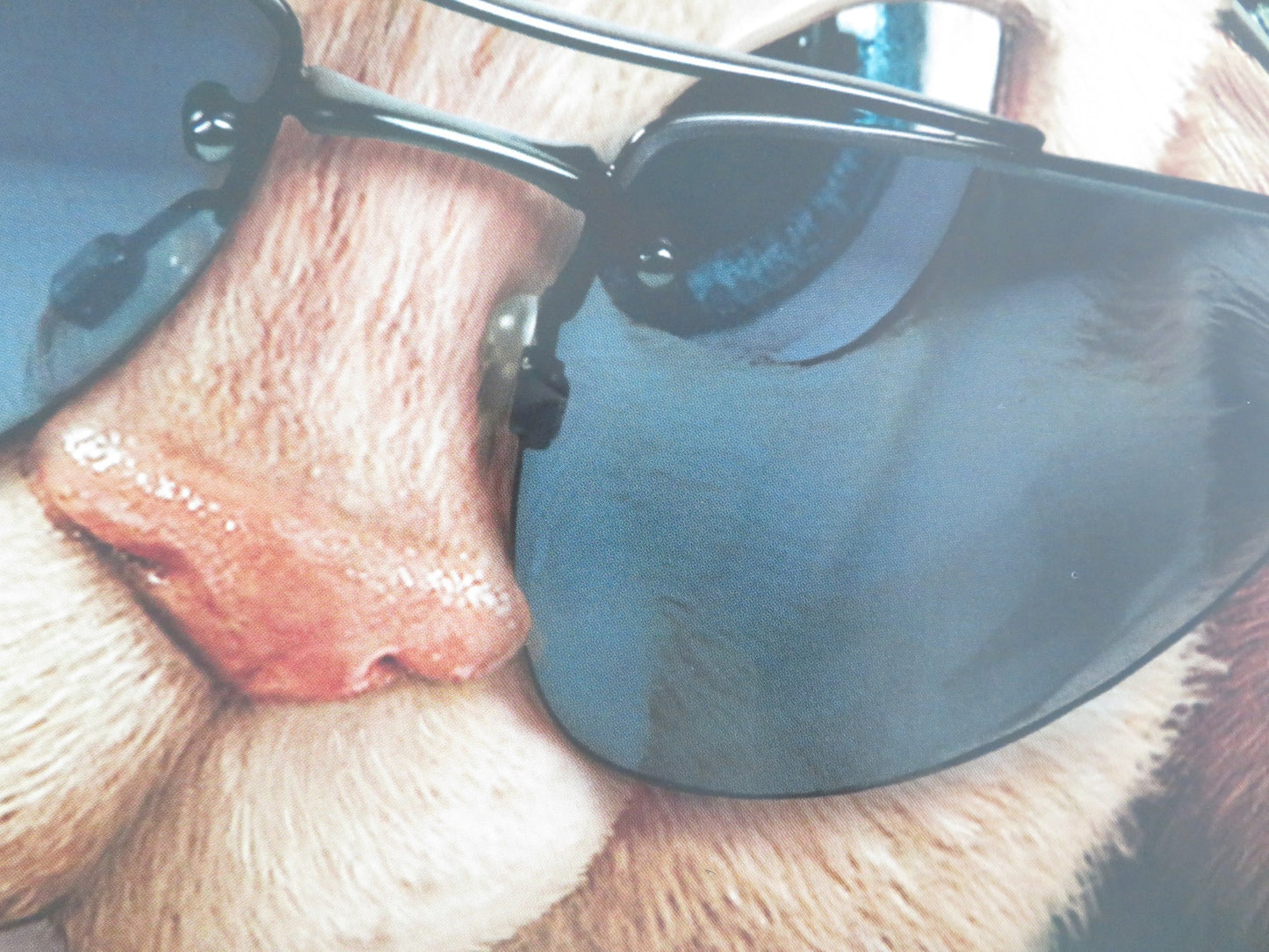 ALVIN AND THE CHIPMUNKS 2: THE SQUEAKQUEL - A UK QUAD ROLLED POSTER J. LEE 2009 - Rendezvous Cinema