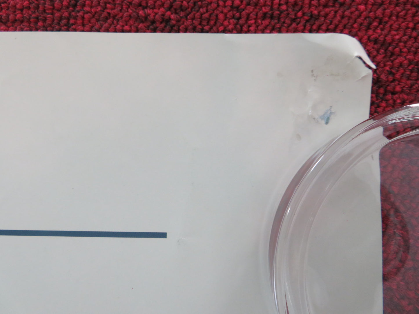 DALLAS BUYERS CLUB UK QUAD ROLLED POSTER MATTHEW MCCONAUGHEY JARED LETO 2013 - Rendezvous Cinema