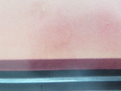 DALLAS BUYERS CLUB UK QUAD ROLLED POSTER MATTHEW MCCONAUGHEY JARED LETO 2013 - Rendezvous Cinema