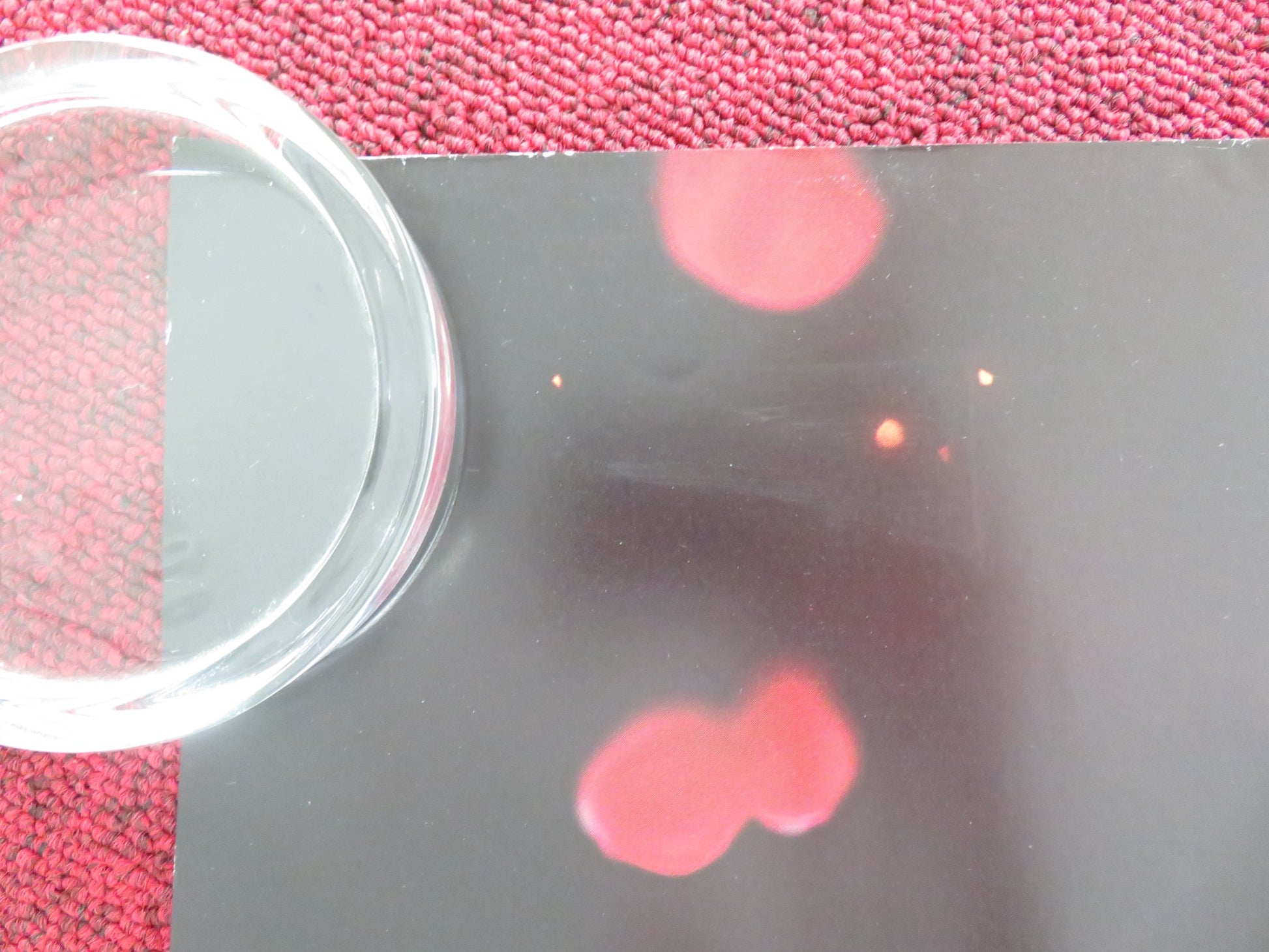 ANDRE RIEU'S 2023 MAASTRICHT CONCERT: LOVE IS ALL AROUND UK QUAD ROLLED POSTER - Rendezvous Cinema