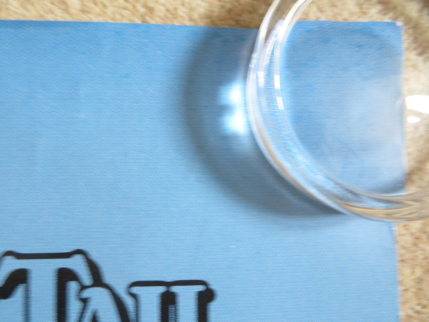 AN AMERICAN TAIL: FIEVAL GOES WEST - B DOOR PANEL POSTER ROLLED P. GLASSER 1991 - Rendezvous Cinema