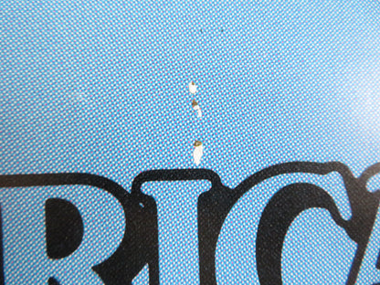 AN AMERICAN TAIL: FIEVAL GOES WEST - B DOOR PANEL POSTER ROLLED P. GLASSER 1991 - Rendezvous Cinema