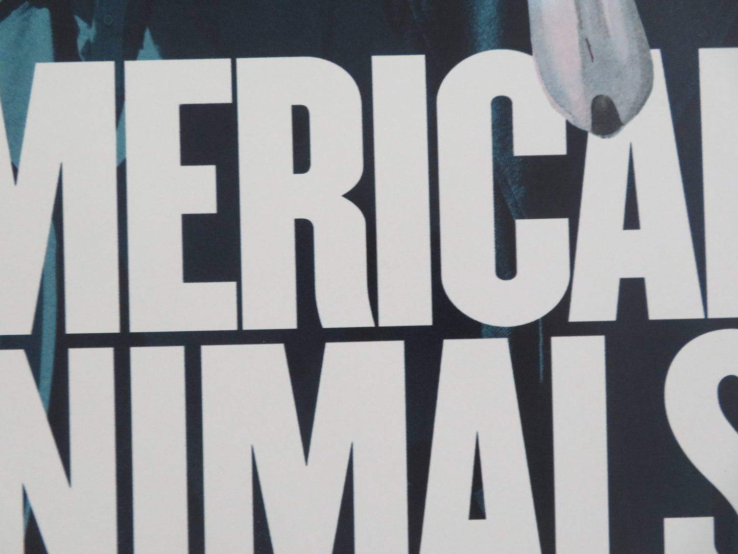 AMERICAN ANIMALS UK QUAD ROLLED POSTER SPENCER REINHARD WARREN LIPKA 2018 - Rendezvous Cinema