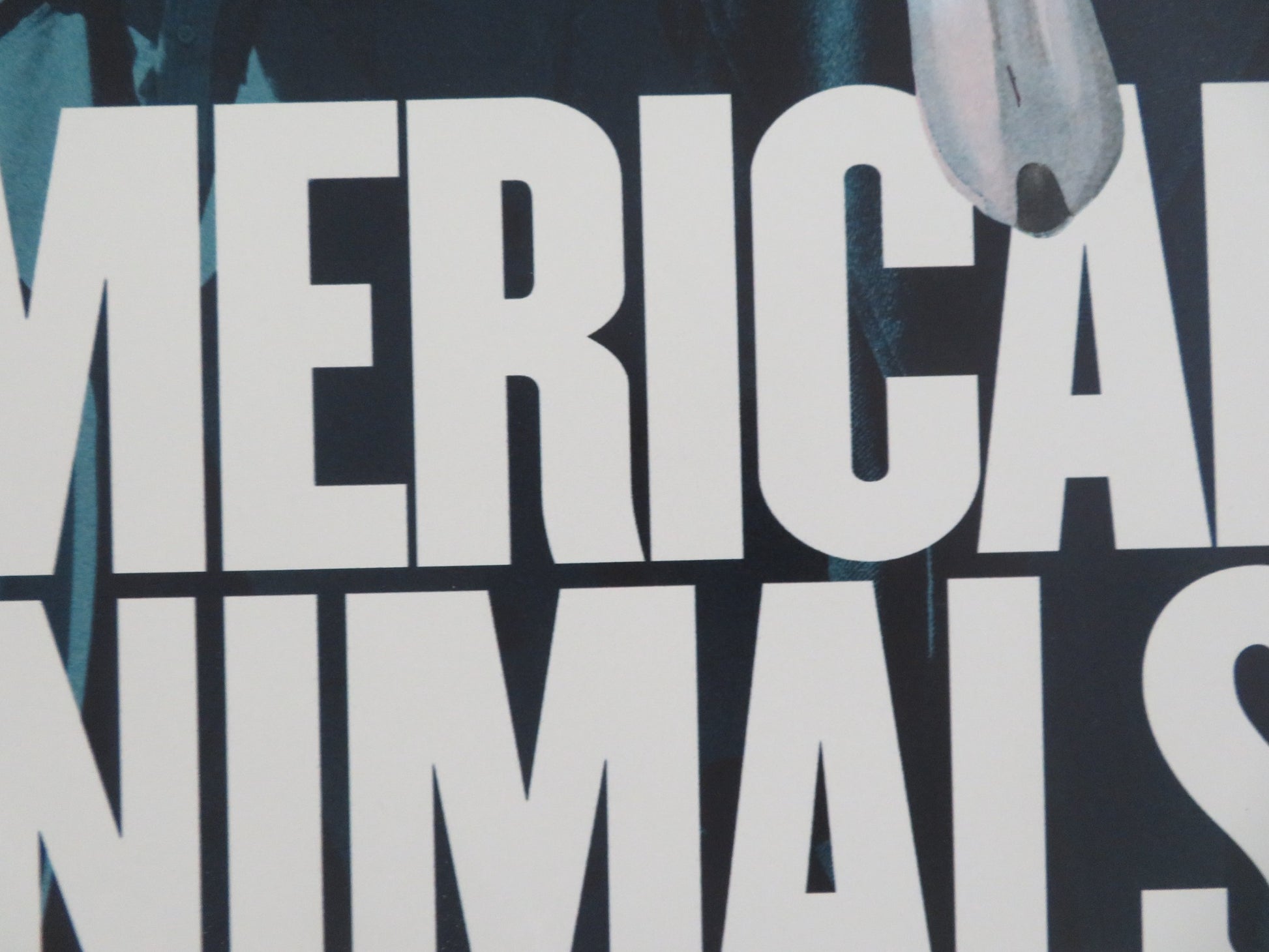 AMERICAN ANIMALS UK QUAD ROLLED POSTER SPENCER REINHARD WARREN LIPKA 2018 - Rendezvous Cinema