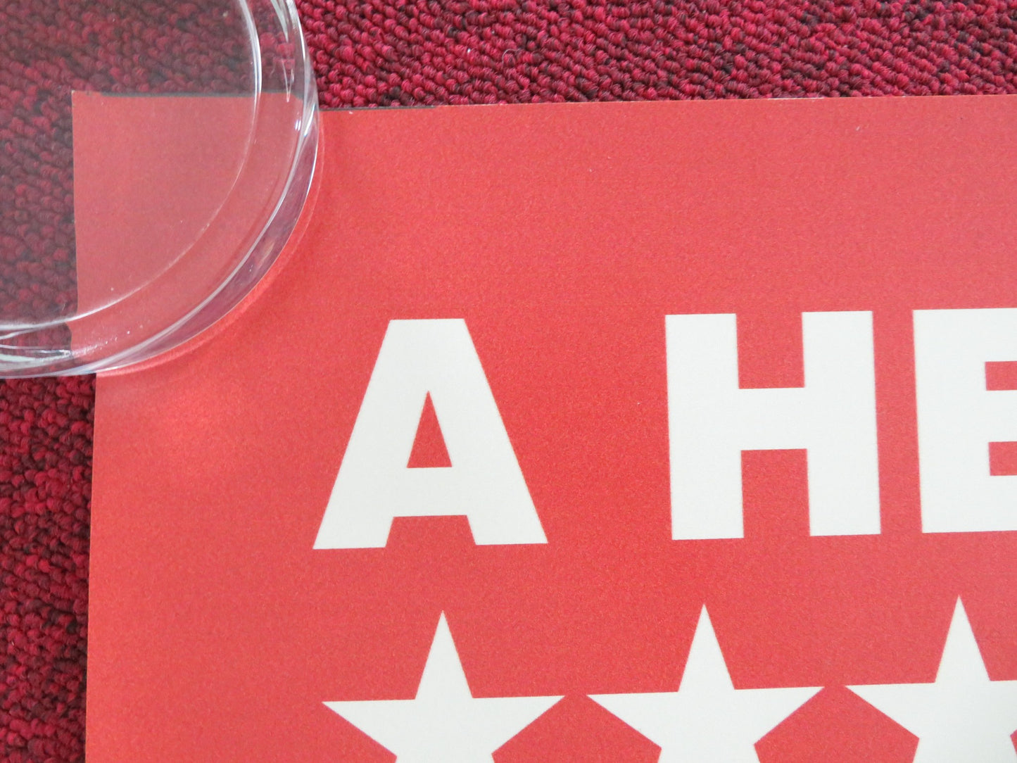 AMERICAN ANIMALS UK QUAD ROLLED POSTER SPENCER REINHARD WARREN LIPKA 2018 - Rendezvous Cinema