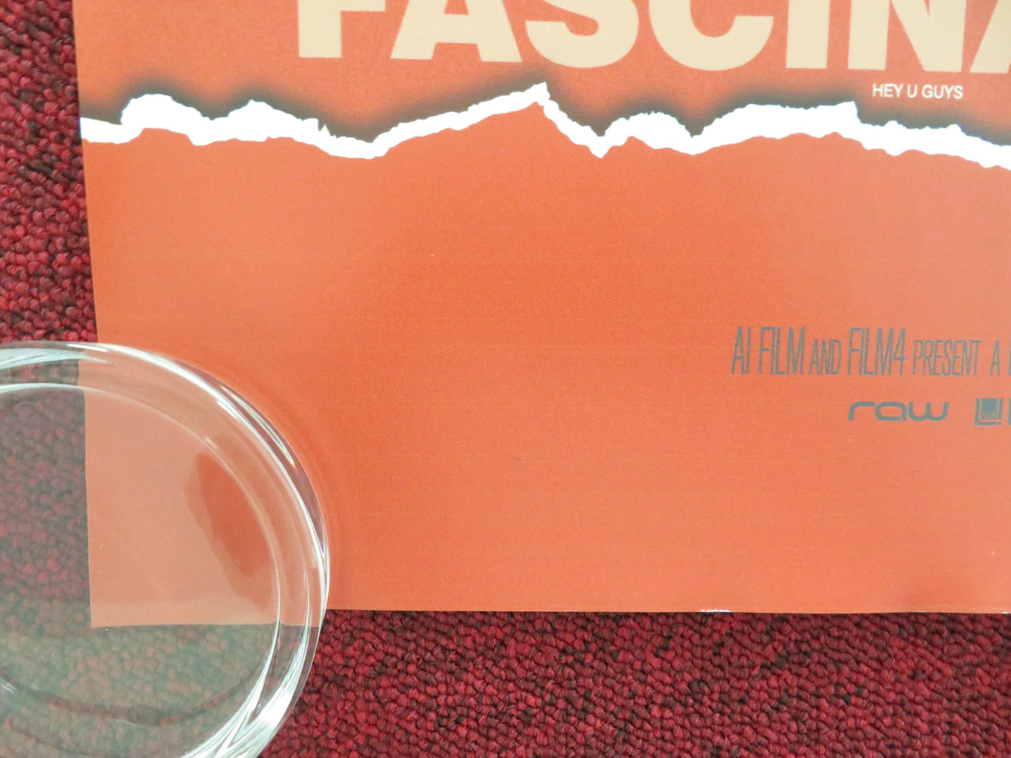 AMERICAN ANIMALS UK QUAD ROLLED POSTER SPENCER REINHARD WARREN LIPKA 2018 - Rendezvous Cinema