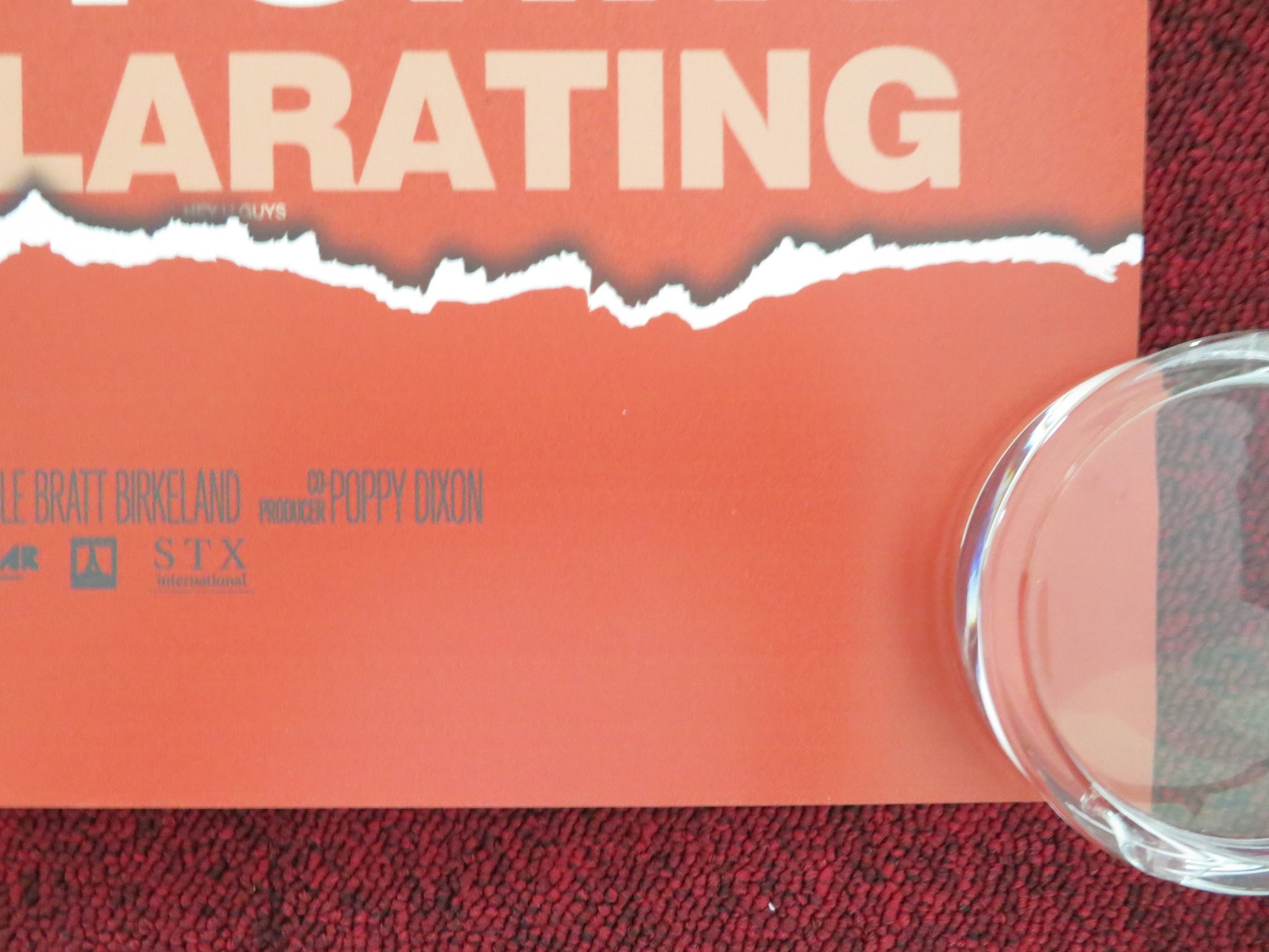 AMERICAN ANIMALS UK QUAD ROLLED POSTER SPENCER REINHARD WARREN LIPKA 2018 - Rendezvous Cinema