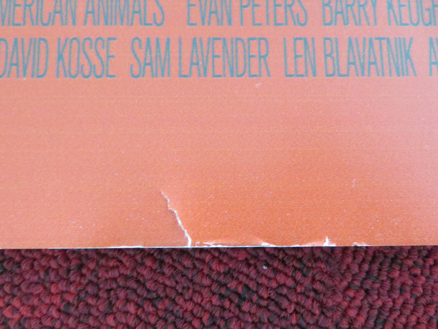 AMERICAN ANIMALS UK QUAD ROLLED POSTER SPENCER REINHARD WARREN LIPKA 2018 - Rendezvous Cinema