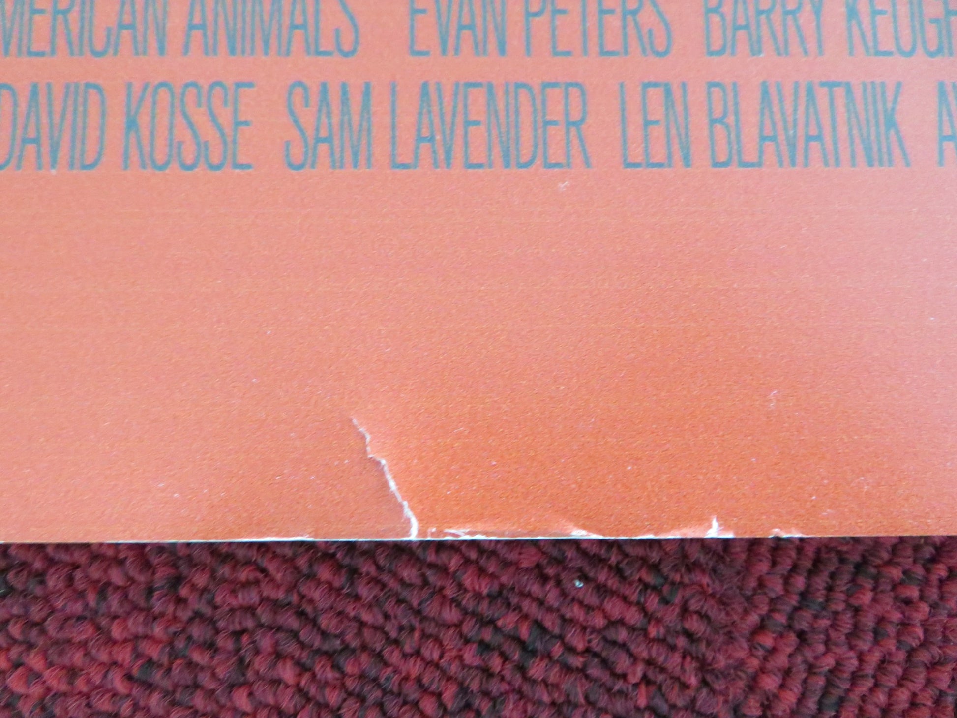 AMERICAN ANIMALS UK QUAD ROLLED POSTER SPENCER REINHARD WARREN LIPKA 2018 - Rendezvous Cinema