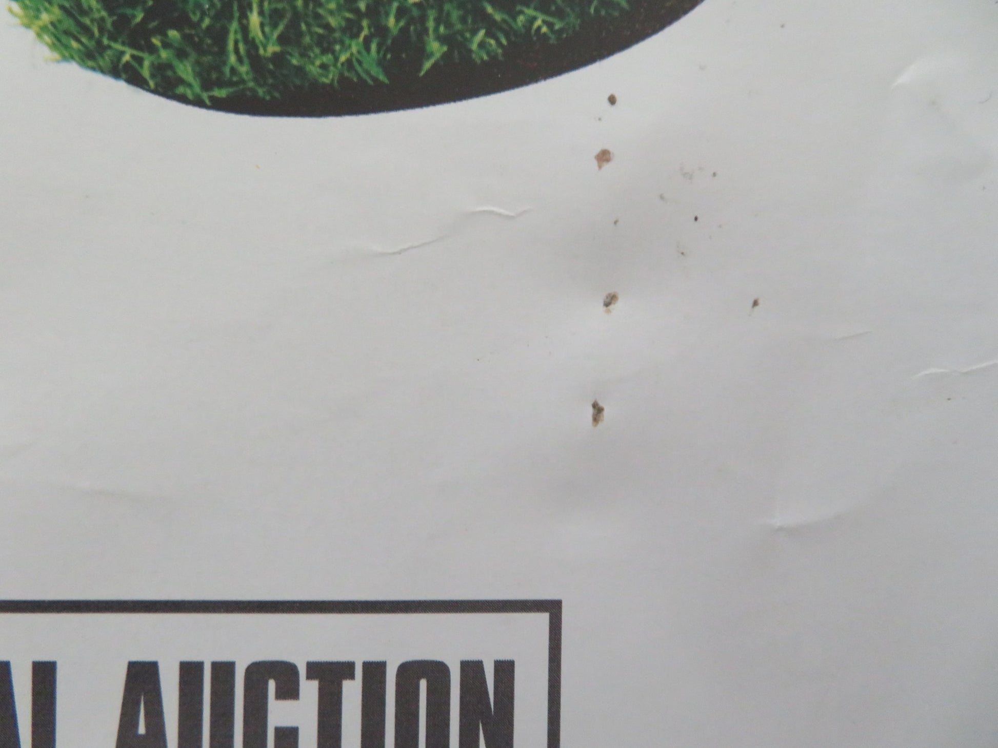 SAVING GRACE - B UK QUAD ROLLED POSTER BRENDA BLETHYN MARTIN CLUNES 2000 - Rendezvous Cinema