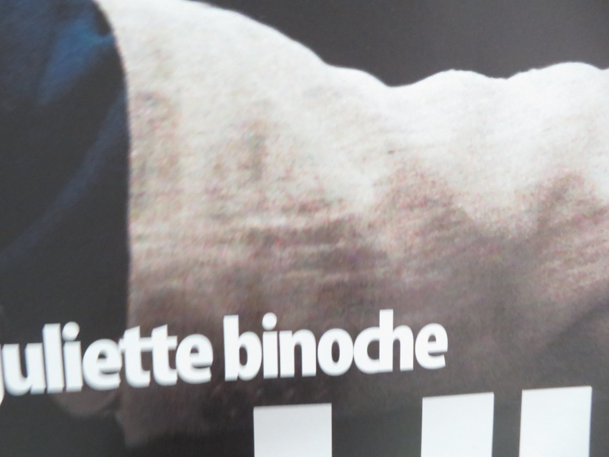 HIDDEN / CACHE UK QUAD ROLLED POSTER DANIEL AUTEUIL JULIETTE BINOCHE 2005 - Rendezvous Cinema