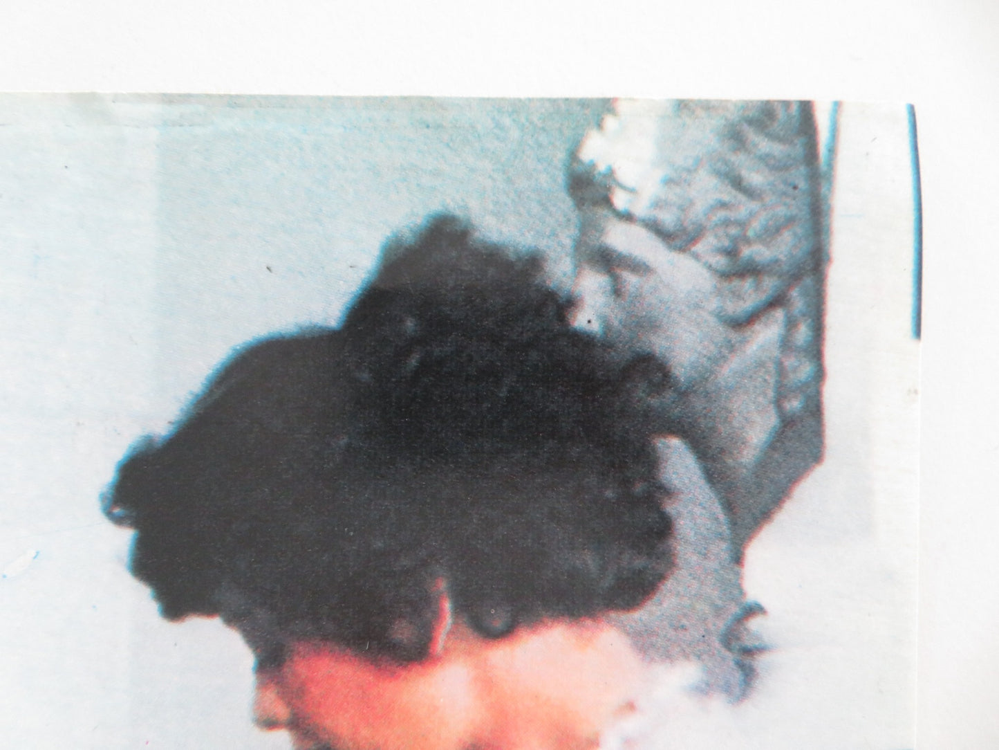 NESSUNA FESTA PER LA MORTE DEL CANE DI SATANA - C ITALIAN FOTOBUSTA POSTER 1976 - Rendezvous Cinema