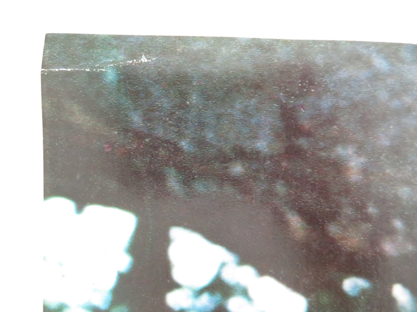 SANDOKAN 2 PART - E ITALIAN FOTOBUSTA POSTER KABIR BEDI ADOLFO CELI 1976 - Rendezvous Cinema