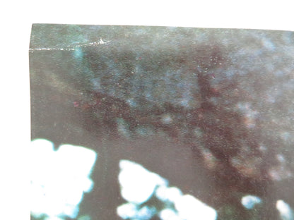 SANDOKAN 2 PART - E ITALIAN FOTOBUSTA POSTER KABIR BEDI ADOLFO CELI 1976 - Rendezvous Cinema