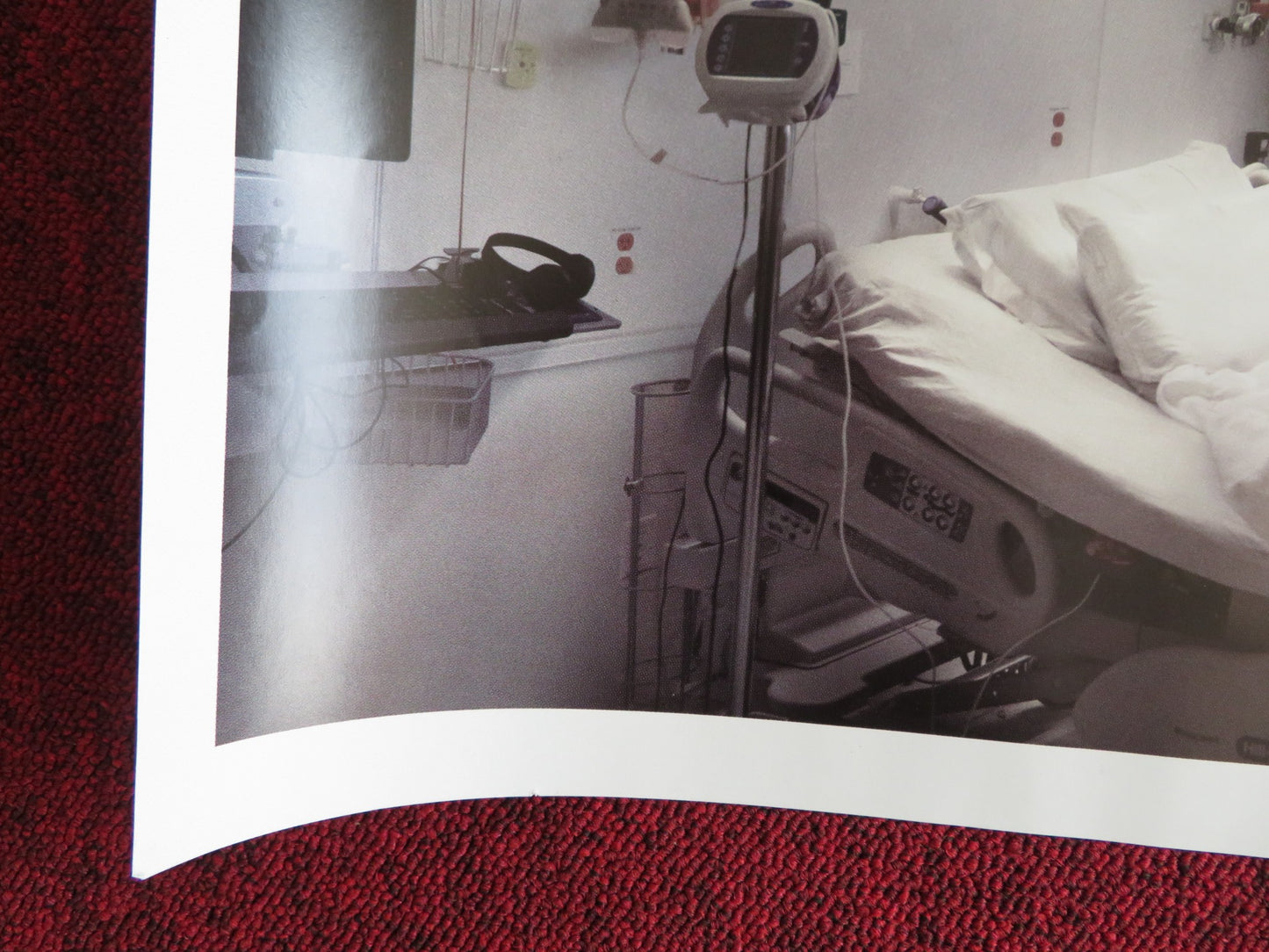 THE KILLING OF A SACRED DEER -A UK QUAD (30"x 40") ROLLED POSTER C. FARRELL 2017 - Rendezvous Cinema