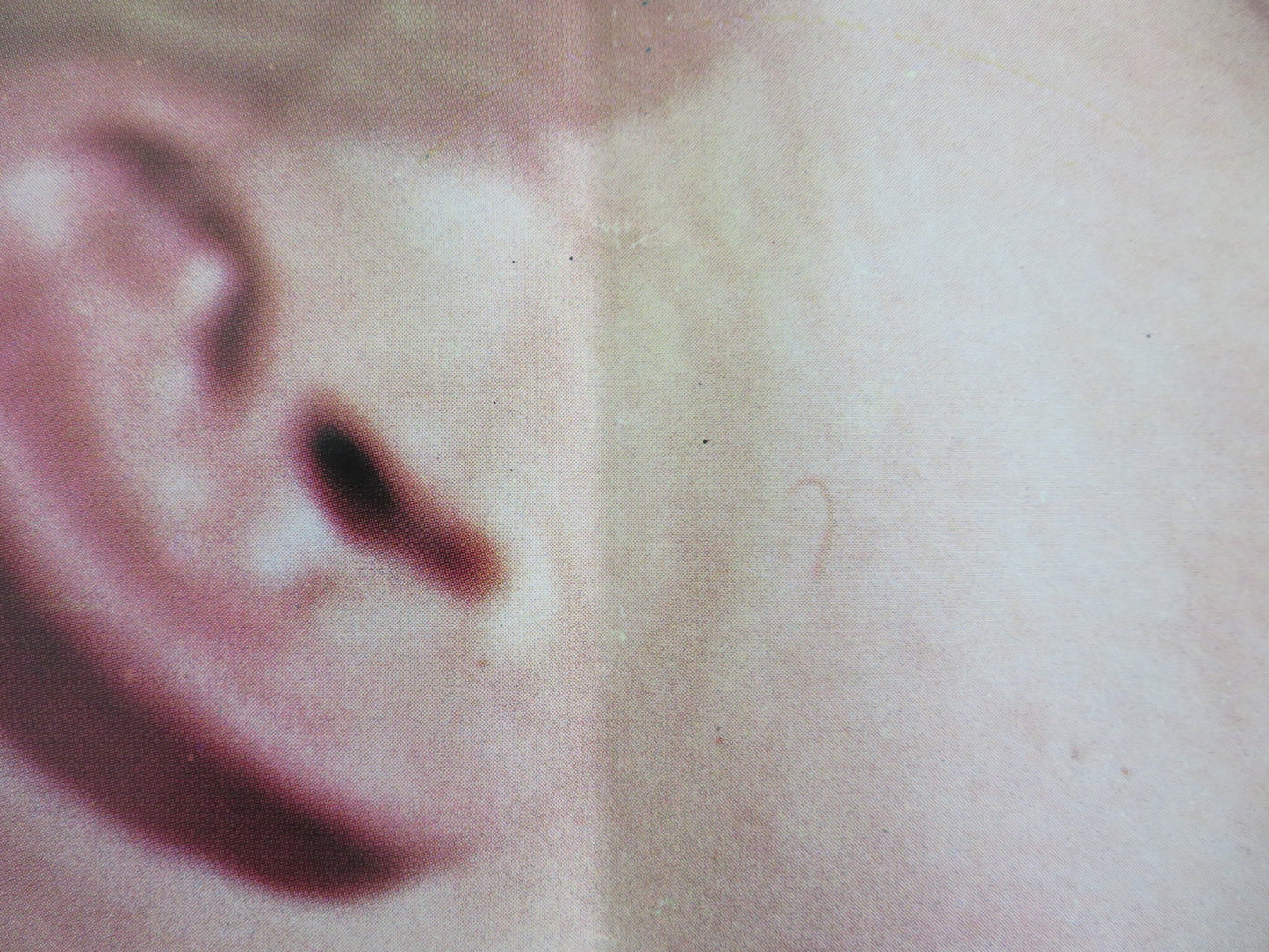 BUTTERFLIES - B ITALIAN FOTOBUSTA POSTER MARIE FORSA HARRY REEMS 1975 - Rendezvous Cinema