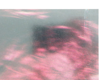 BUTTERFLIES - B ITALIAN FOTOBUSTA POSTER MARIE FORSA HARRY REEMS 1975 - Rendezvous Cinema