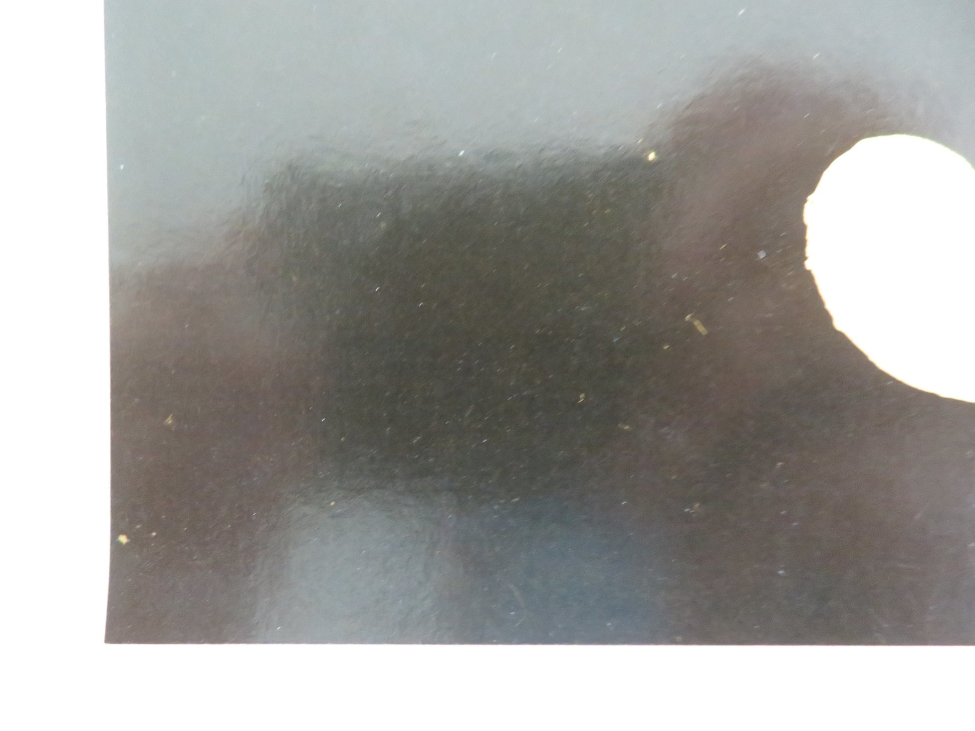 BUTTERFLIES - C ITALIAN FOTOBUSTA POSTER MARIE FORSA HARRY REEMS 1975 - Rendezvous Cinema