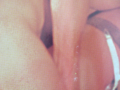 ERUPTION - B ITALIAN FOTOBUSTA POSTER LESLIE BOVEE JOHN HOLMES 1977 - Rendezvous Cinema