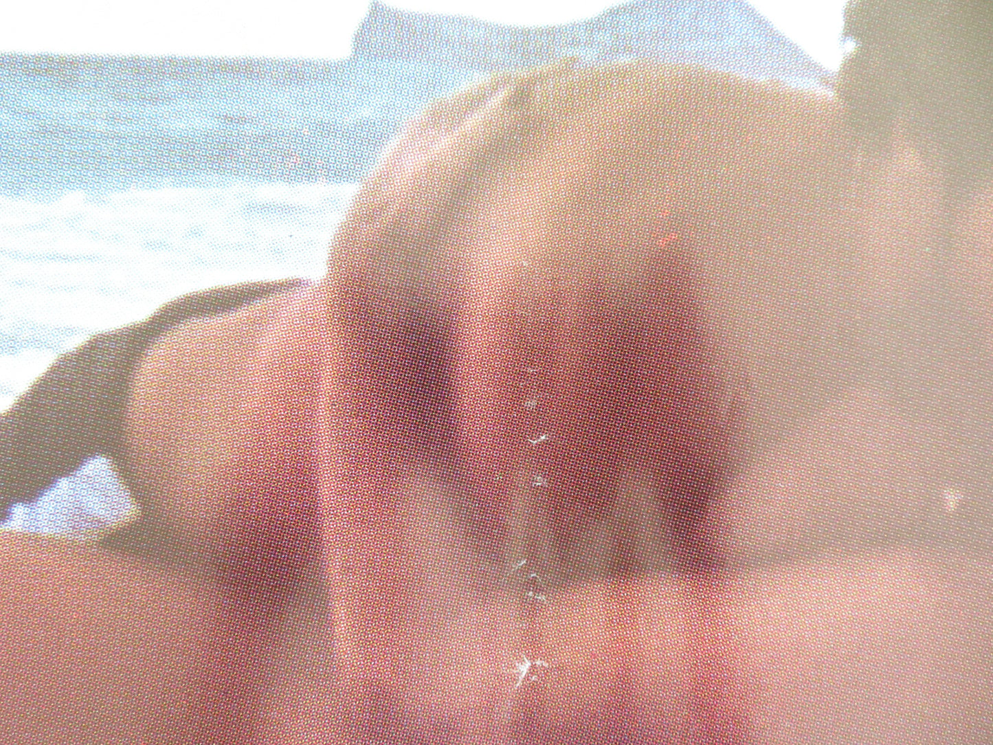 ERUPTION - D ITALIAN FOTOBUSTA POSTER LESLIE BOVEE JOHN HOLMES 1977 - Rendezvous Cinema