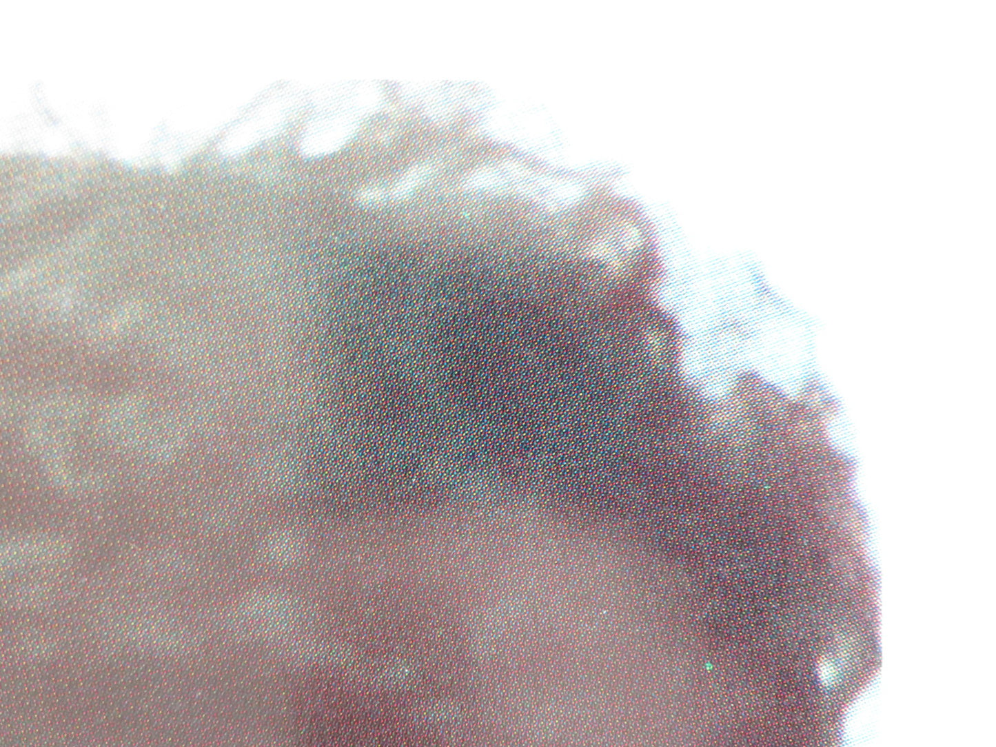 EMANUELLE: QUEEN OF THE DESERT - A ITALIAN FOTOBUSTA POSTER LAURA GEMSER 1982 - Rendezvous Cinema