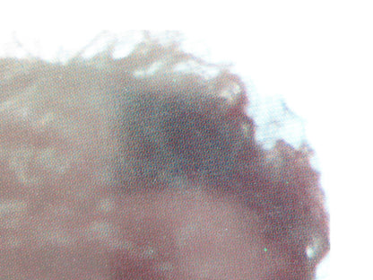 EMANUELLE: QUEEN OF THE DESERT - A ITALIAN FOTOBUSTA POSTER LAURA GEMSER 1982 - Rendezvous Cinema