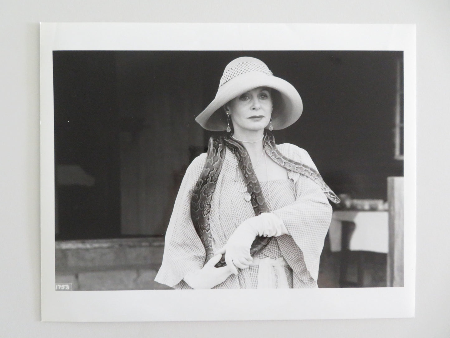 WHITE MISCHIEF MOVIE STILL PHOTO LOT OF 8 CHARLES DANCE SARAH MILES 1987 - Rendezvous Cinema