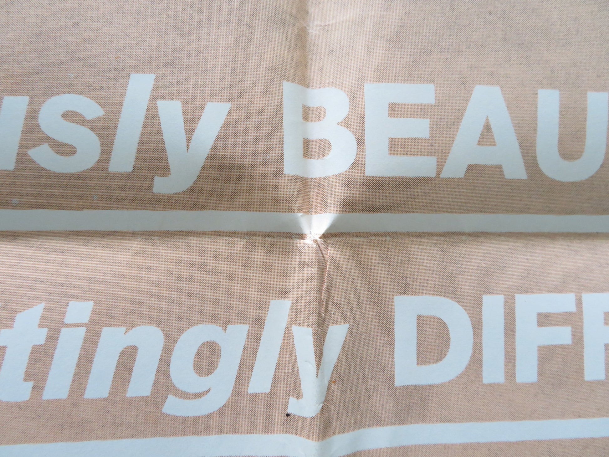 THE LIVING DESERT FOLDED US ONE SHEET POSTER DISNEY WINSTON HIBLER R1964 - Rendezvous Cinema