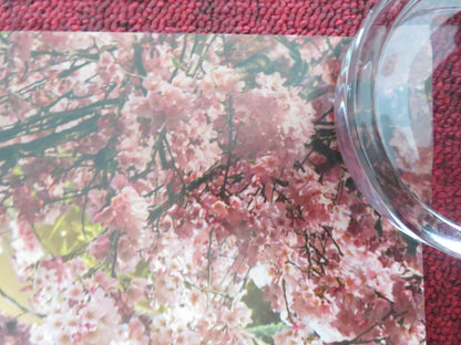 WICKED - C UK QUAD ROLLED POSTER DISNEY CYNTHIA ERIVO ARIANA GRANDE 2024