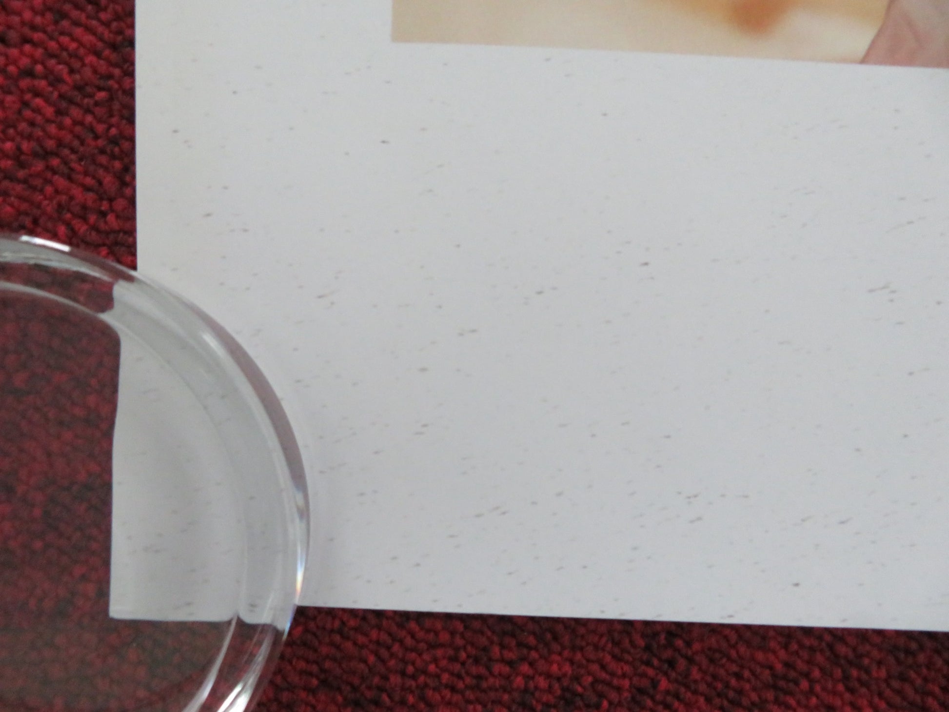 MR. BURTON UK QUAD ROLLED POSTER TOBY JONES LESLEY MANVILLE 2025 - Rendezvous Cinema