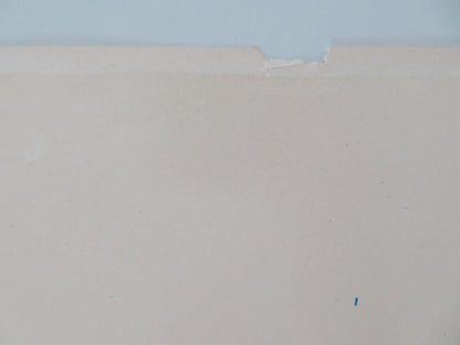 THE IDOL ITALIAN LOCANDINA POSTER JENNIFER JONES MICHAEL PARKS 1967 - Rendezvous Cinema