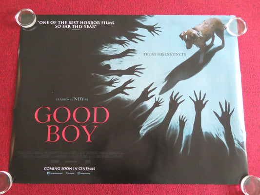 GOOD BOY UK QUAD ROLLED POSTER INDY SHANE JENSEN ARIELLE FRIEDMAN 2025