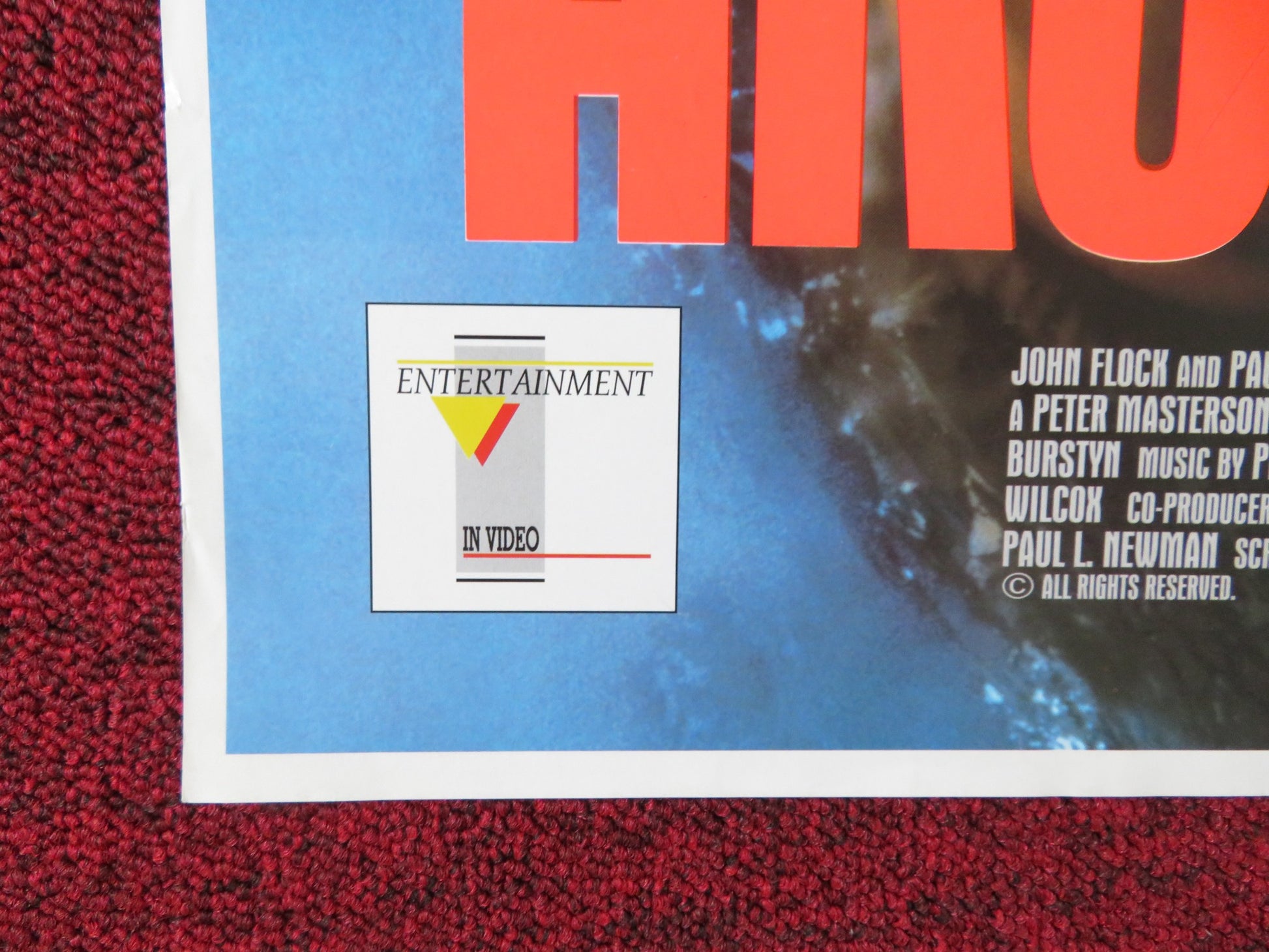 ARCTIC BLUE VHS POSTER ROLLED RUTGER HAUER DYLAN WALSH 1993 - Rendezvous Cinema