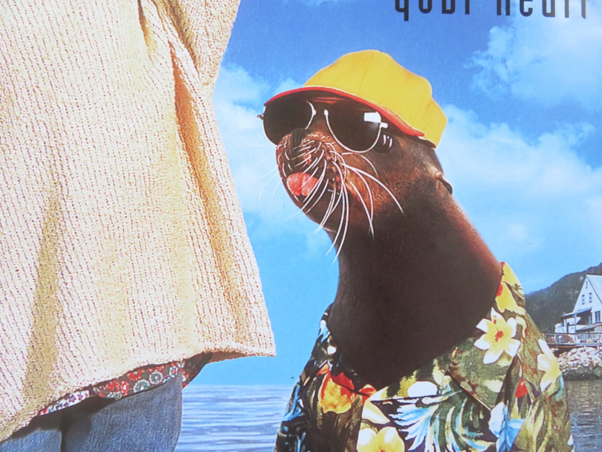 ANDRE VHS VIDEO POSTER TINA MAJORINO CHELSEA FIELD 1994 - Rendezvous Cinema