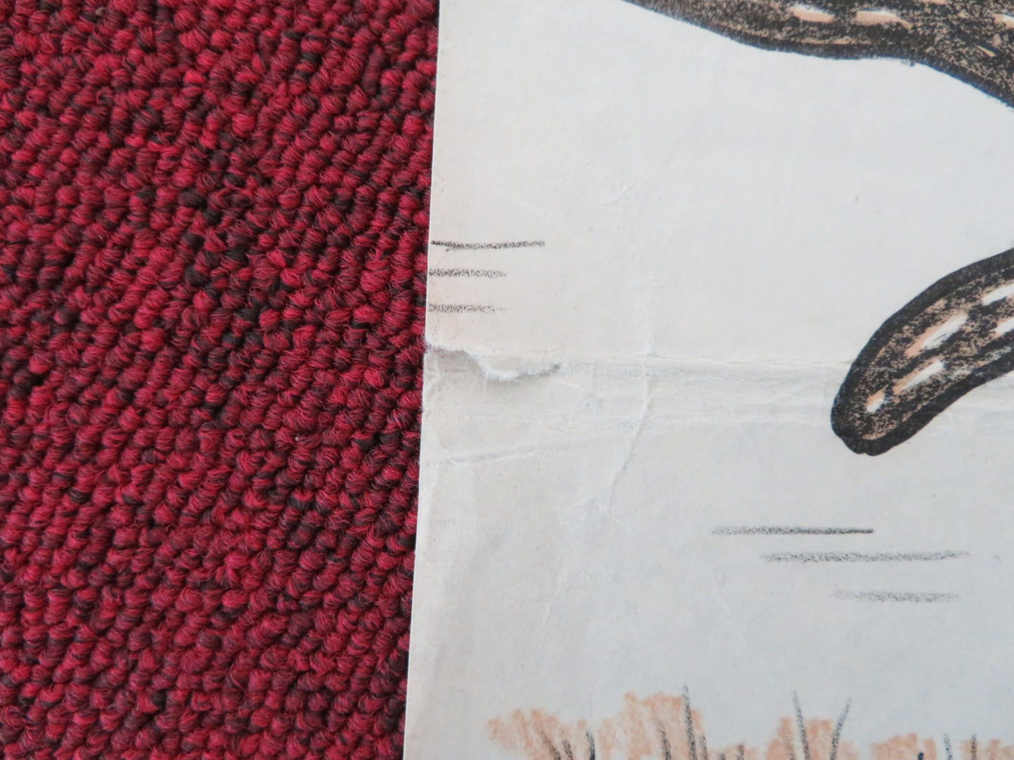 SAMPO LAPPELILL DANISH POSTER ROLLED LEIF BEXELIUS SARA BEXELIUS 1951 - Rendezvous Cinema