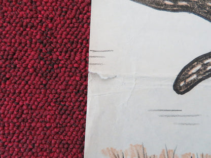 SAMPO LAPPELILL DANISH POSTER ROLLED LEIF BEXELIUS SARA BEXELIUS 1951 - Rendezvous Cinema