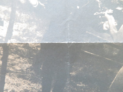 THE BOOKSELLER GAVE UP BATHING DANISH POSTER ROLLED ALLAN EDWALL JARL KULLE 1970 - Rendezvous Cinema