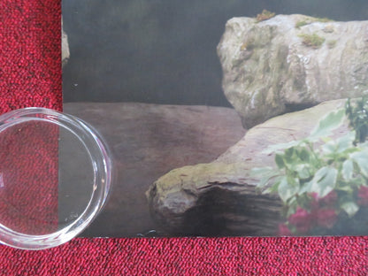 EMMA - B UK QUAD ROLLED POSTER ANYA TAYLOR-JOY MIA GOTH JOSH O'CONNOR 2020