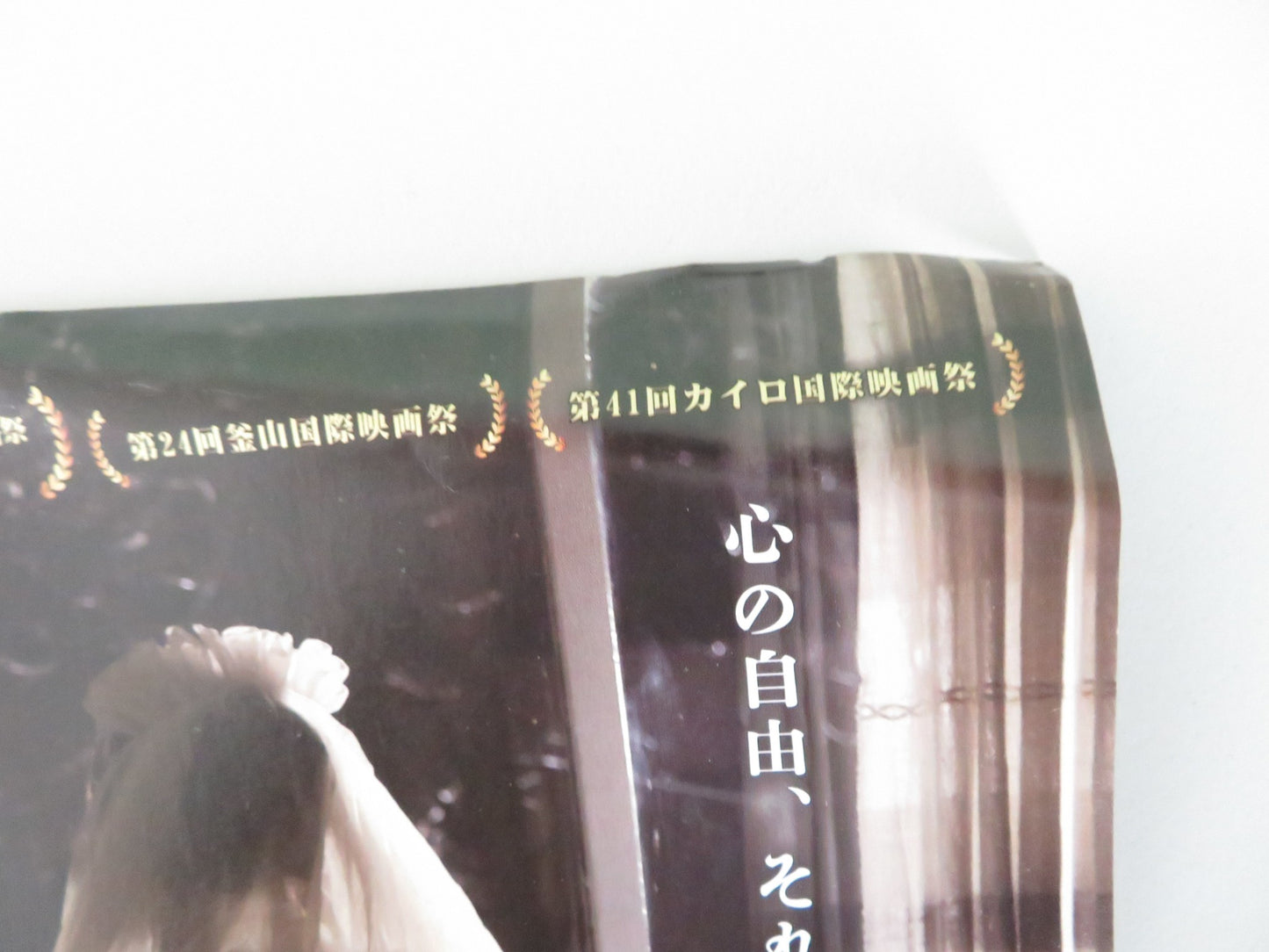 HAVA, MARYAM, AYESHA JAPANESE CHIRASHI (B5) POSTER AREZOO ARIAPOOR 2019 - Rendezvous Cinema