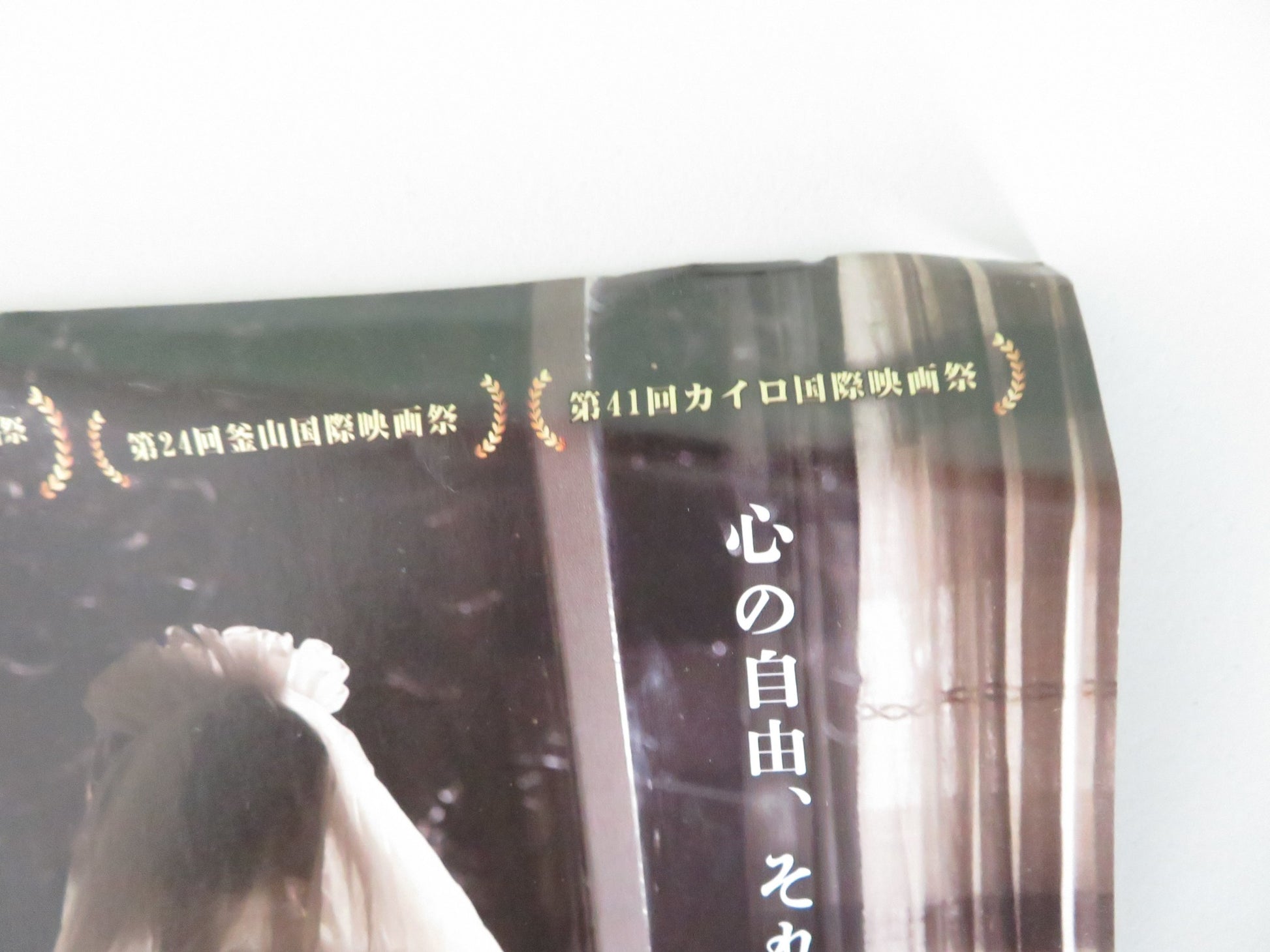 HAVA, MARYAM, AYESHA JAPANESE CHIRASHI (B5) POSTER AREZOO ARIAPOOR 2019 - Rendezvous Cinema