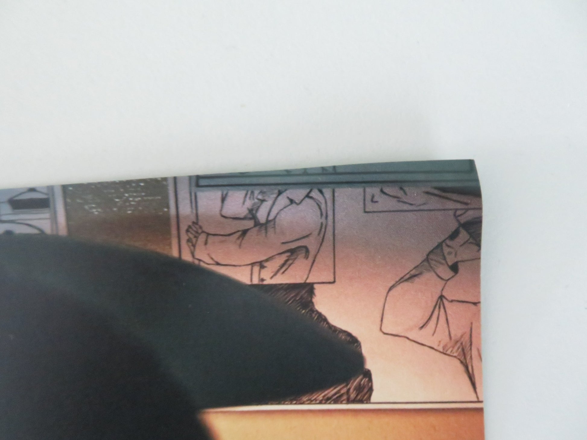 PETROV'S FLU -A JAPANESE CHIRASHI (B5) POSTER SEMYON SERZIN C.KHAMATOVA 2021 - Rendezvous Cinema