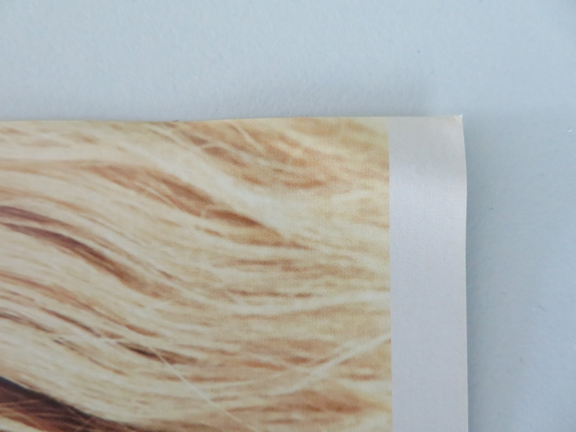 THE ROADS NOT TAKEN JAPANESE CHIRASHI (B5) POSTER ELLE FANNING J.BARDEM 2020 - Rendezvous Cinema