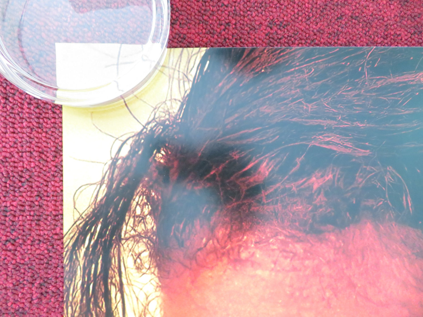 DUNE: PART TWO - B US ONE SHEET ROLLED POSTER ZENDAYA TIMOTHEE CHALAMET 2024 - Rendezvous Cinema