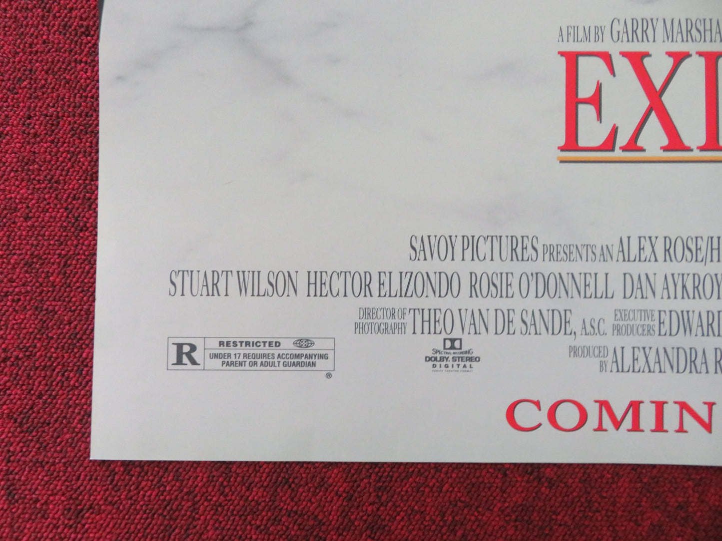 EXIT TO EDEN FOLDED US ONE SHEET POSTER DAN AYKROYD DANA DELANY 1994 - Rendezvous Cinema
