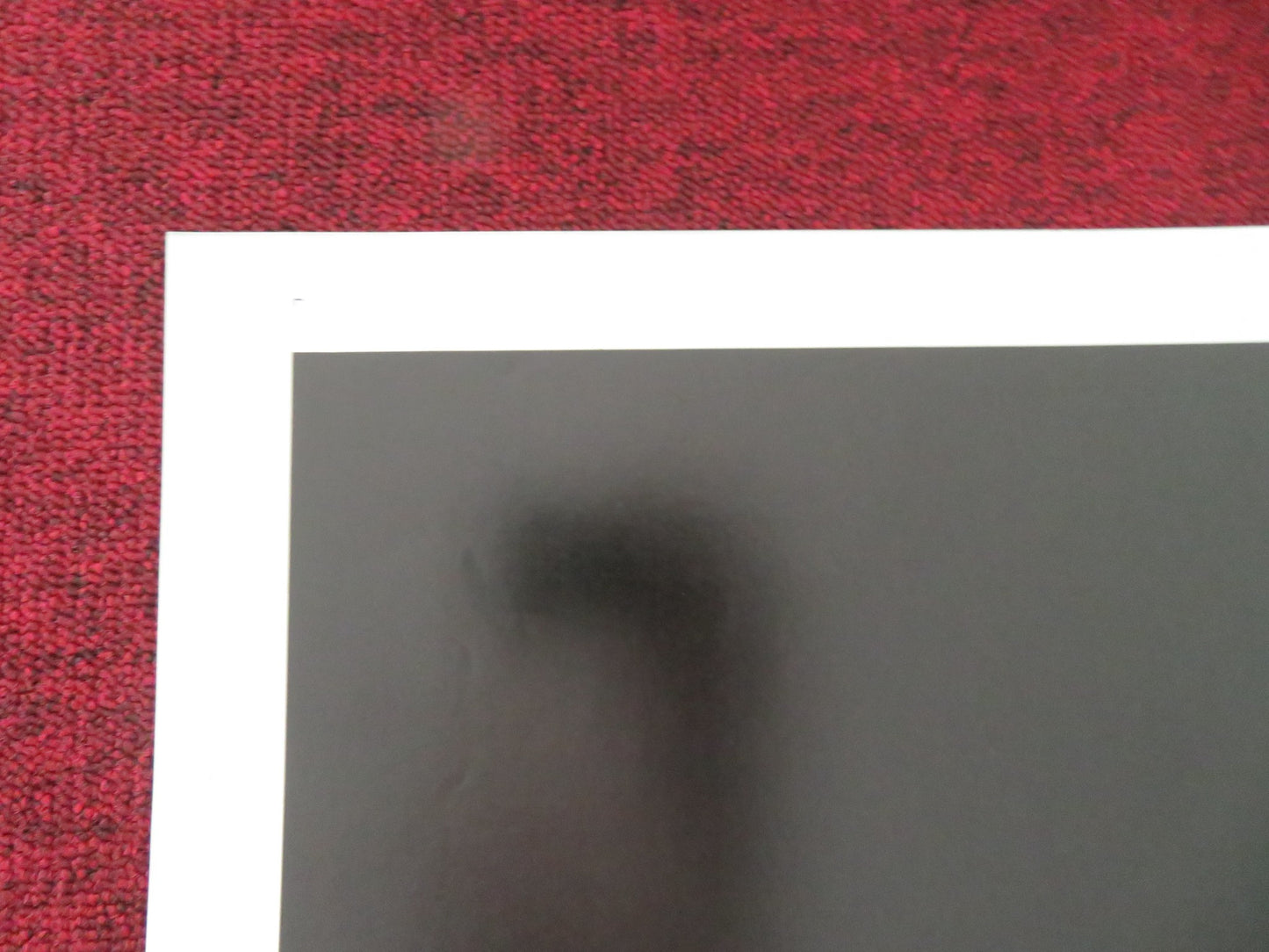 TATTOO - B FOLDED US ONE SHEET POSTER BRUCE DERN MAUD ADAMS 1981 - Rendezvous Cinema